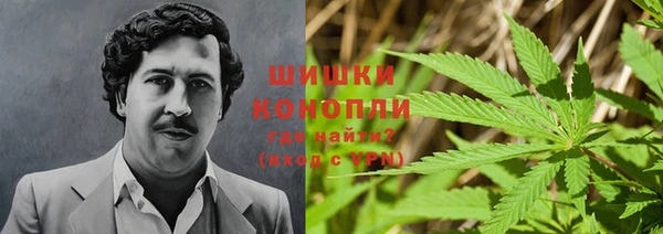 прущий лед Абаза