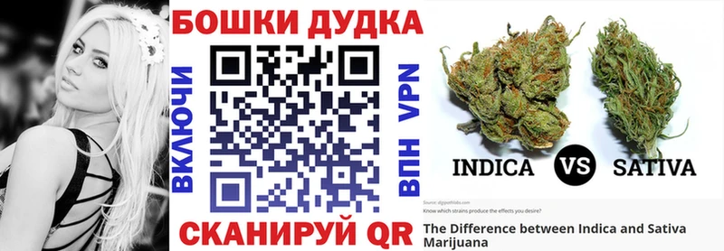 Шишки марихуана THC 21%  мега как войти  Карабаново  наркота 